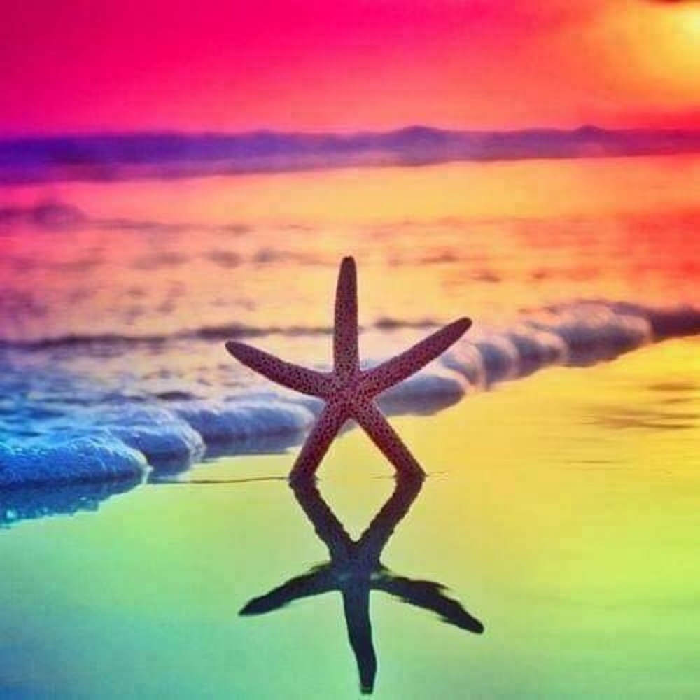 Meet your Posher, Haily